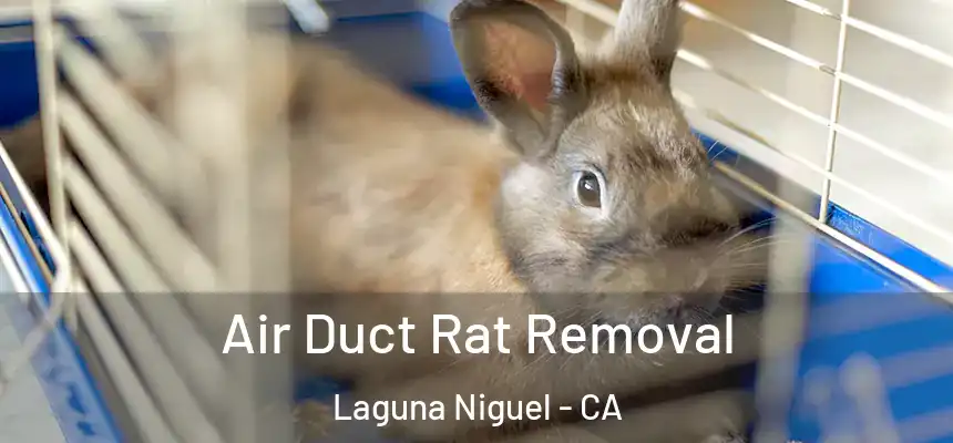 Air Duct Rat Removal Laguna Niguel - CA