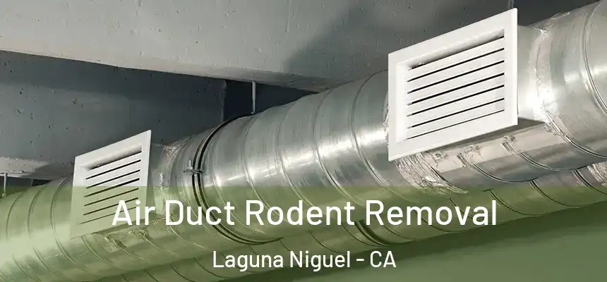 Air Duct Rodent Removal Laguna Niguel - CA