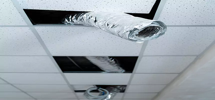 Our Air Duct Pet Hair Removal Services in Laguna Niguel, CA