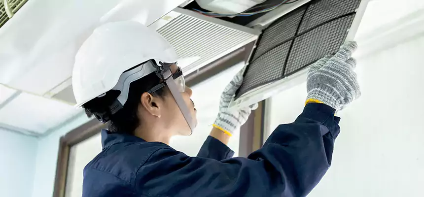 Our Mold & Mildew Removal from Air Ducts Services in Laguna Niguel, CA