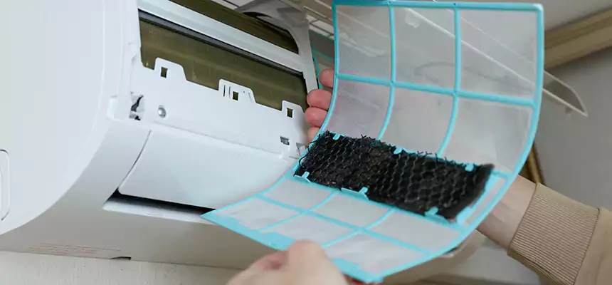 Gentle Ductwork Odor-Control Pet Dander Duct Cleaning in Laguna Niguel, CA