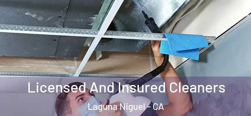 Licensed And Insured Cleaners Laguna Niguel - CA