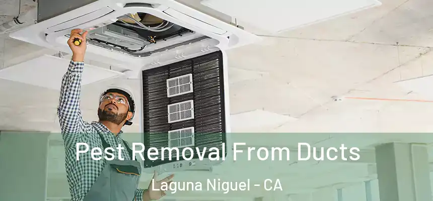 Pest Removal From Ducts Laguna Niguel - CA