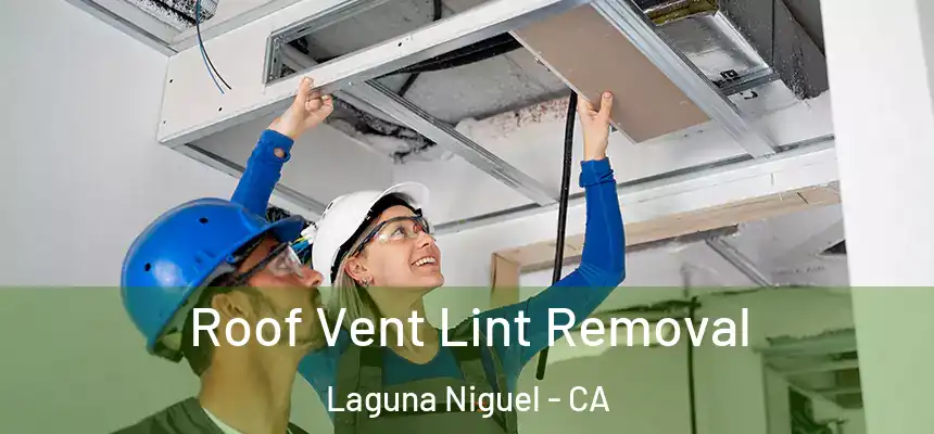 Roof Vent Lint Removal Laguna Niguel - CA
