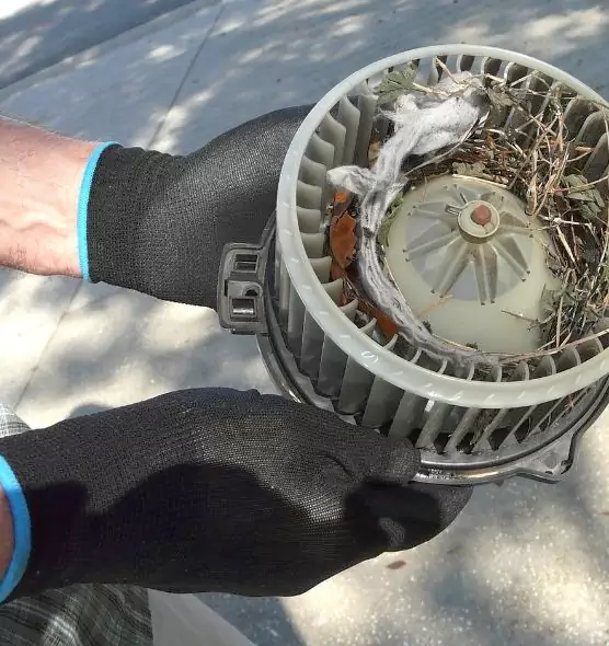 About Air Duct Mice Removal in Laguna Niguel, CA