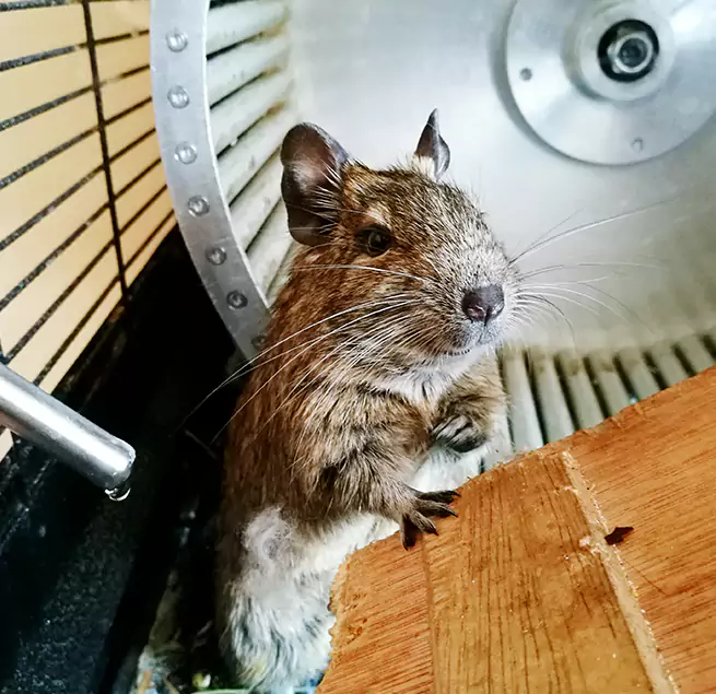 Why Homeowners & Businesses Trust Us Laguna Niguel, CA?