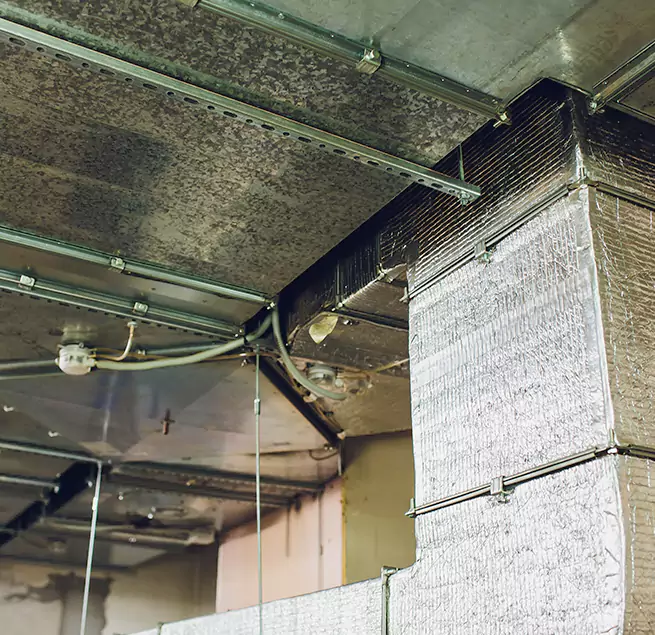 Why Homeowners & Businesses Trust Us in Laguna Niguel, CA?